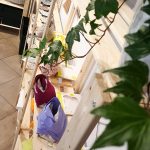 Concours 74 20210312_175036